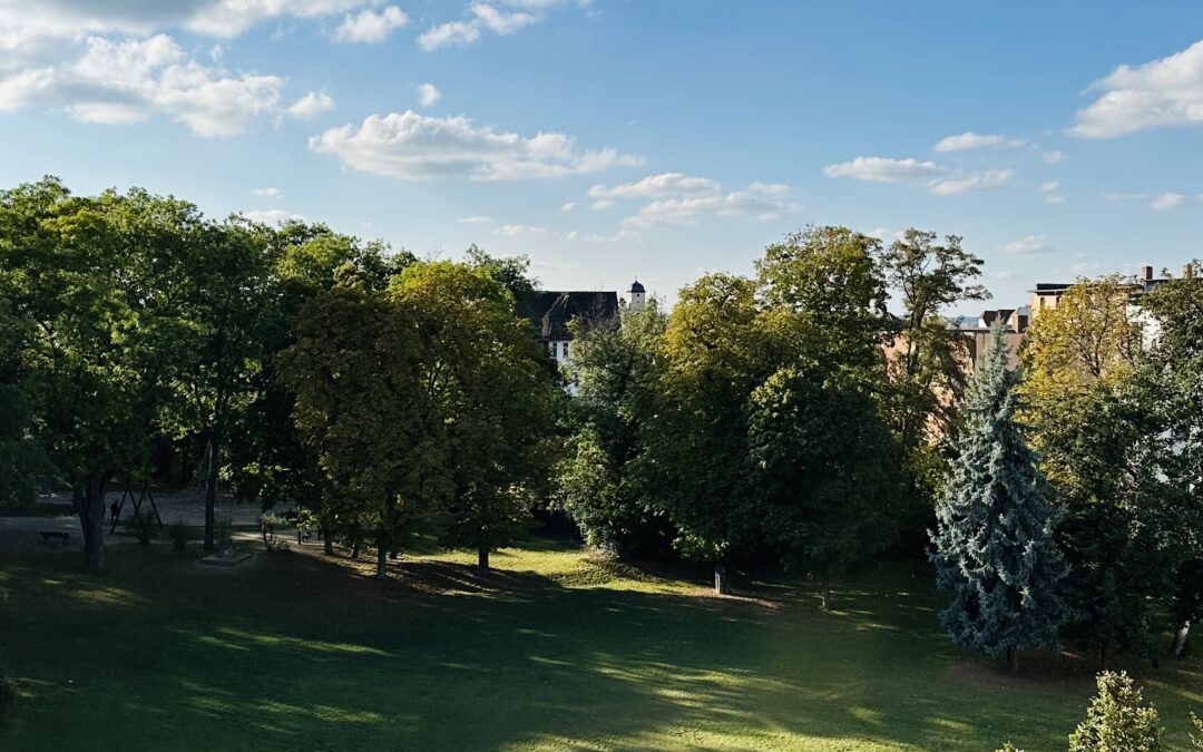 apartment am park08